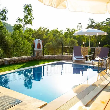 Villa Zeytin 2 Gokce
