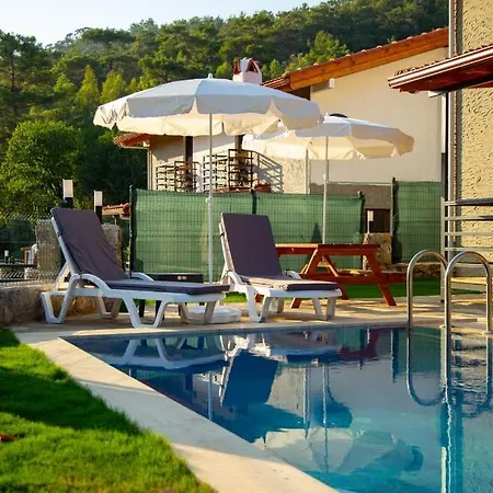 Villa Zeytin 2 Gokce *