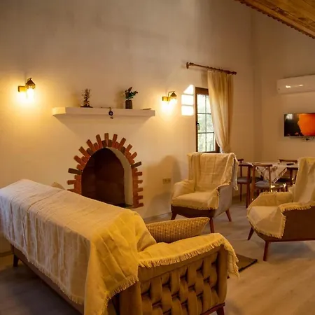 Zeytin 2 Gokce Villa