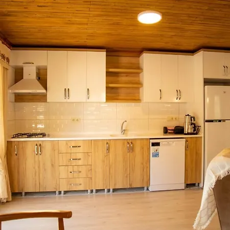 Zeytin 2 Gokce Ula